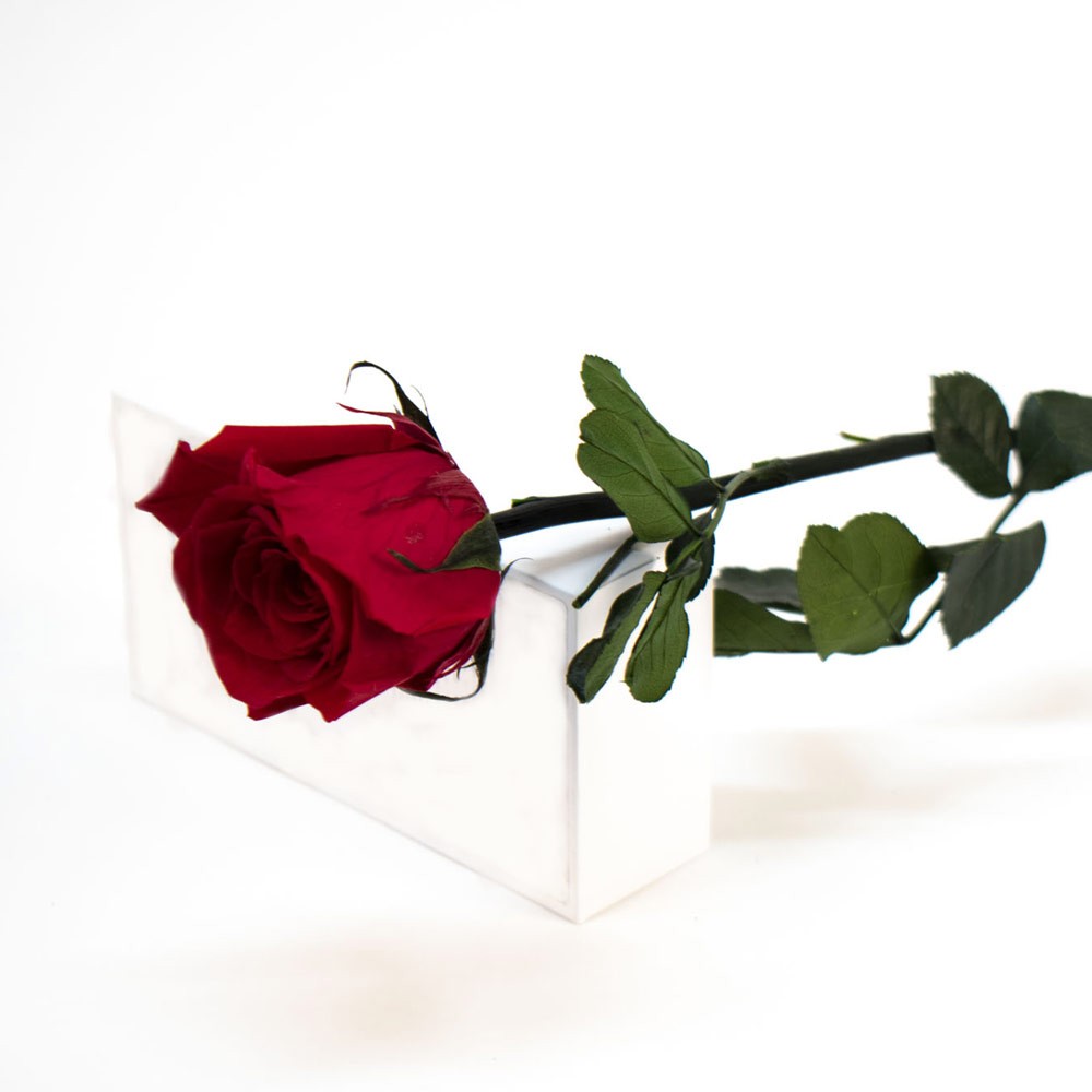 Rose éternelle rouge à offrir - Livraison rapide en 24 heures