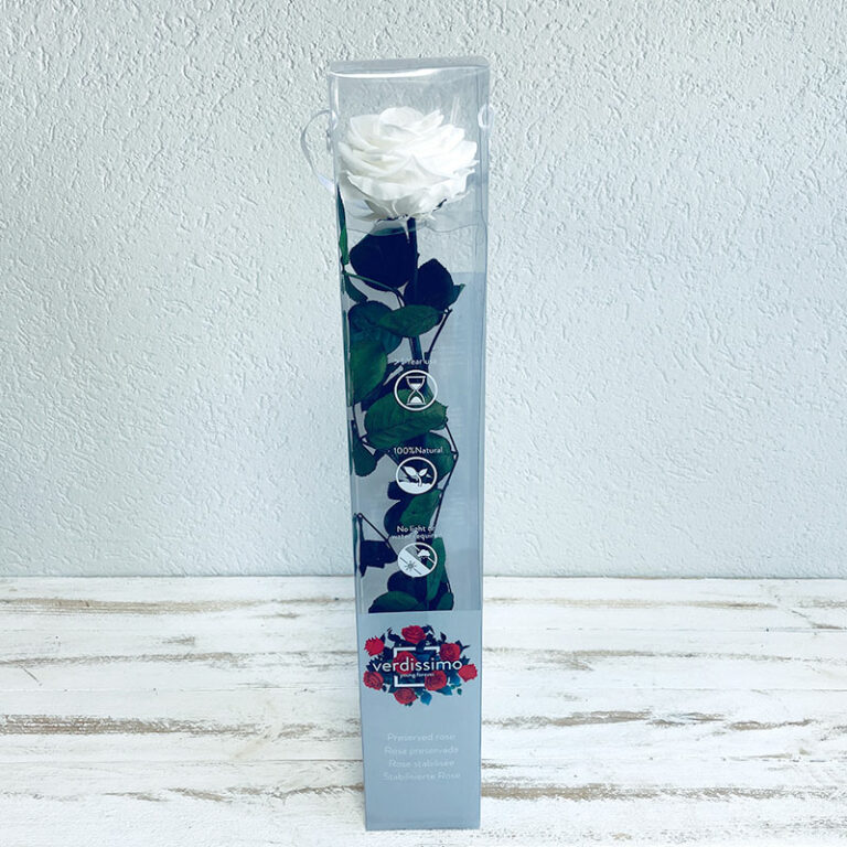 Rose éternelle blanche gros bouton en coffret