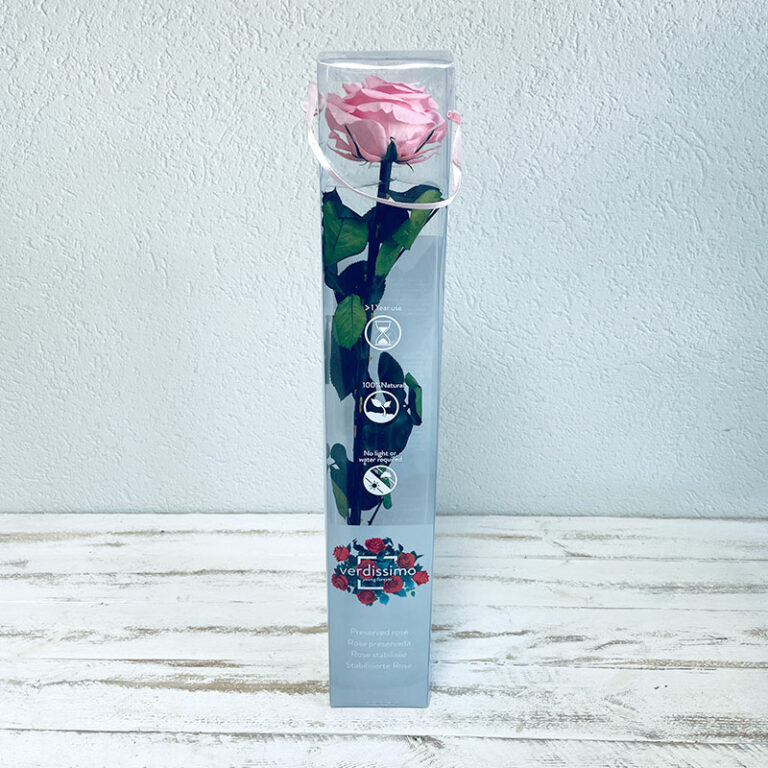 Rose éternelle rose gros bouton en coffret