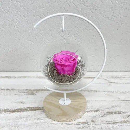 suspension bulle avec un bouton de rose éternelle fuchsia