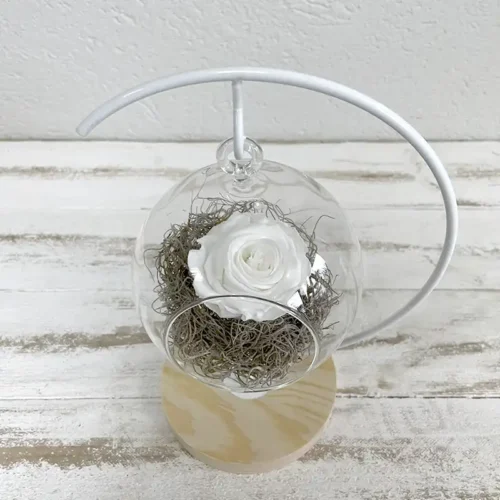 suspension bulle avec un bouton de rose éternelle blanche