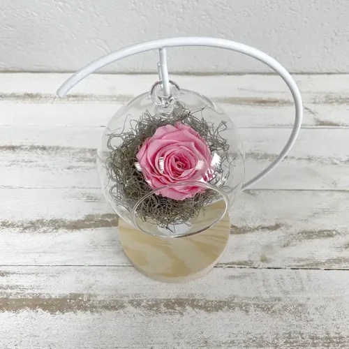 suspension bulle avec un bouton de rose éternelle rose pâle