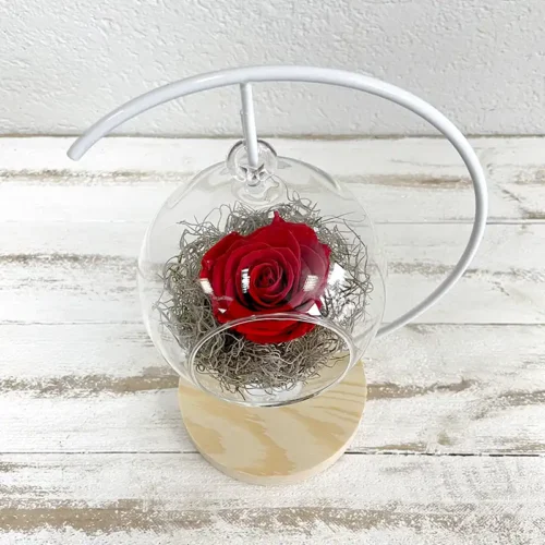 suspension bulle avec un bouton de rose éternelle rouge