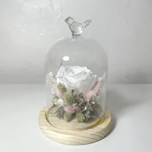 Rose éternelle blanche en cloche de verre oiseau