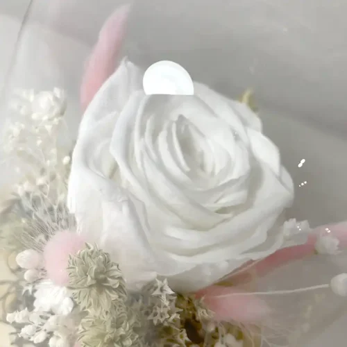 Rose éternelle blanche en cloche de verre oiseau