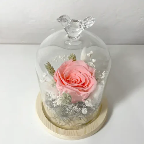 Rose éternelle rose en cloche de verre oiseau