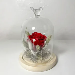 Rose éternelle rouge en cloche de verre oiseau
