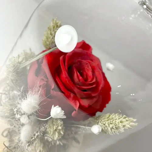 Rose éternelle rouge en cloche de verre oiseau
