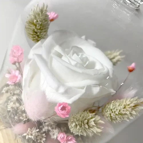 Rose éternelle blanche en petite cloche de verre oiseau