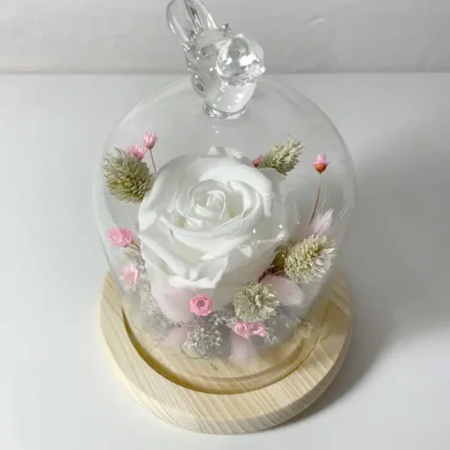 Rose éternelle blanche en petite cloche de verre oiseau