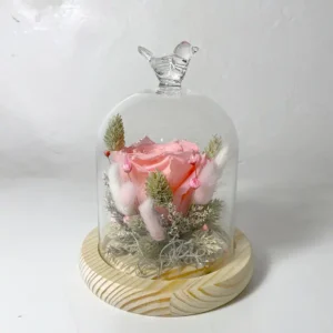 Rose éternelle rose en petite cloche de verre oiseau