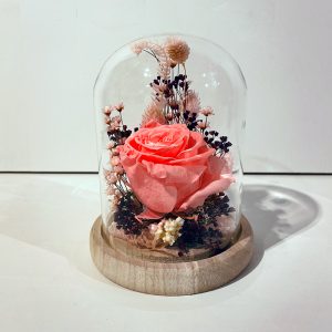 Petite cloche rose éternelle rose et fleurs séchées