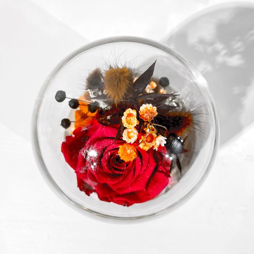 Petite cloche rose éternelle rouge