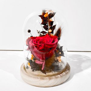 Petite cloche rose éternelle rouge et fleurs séchées