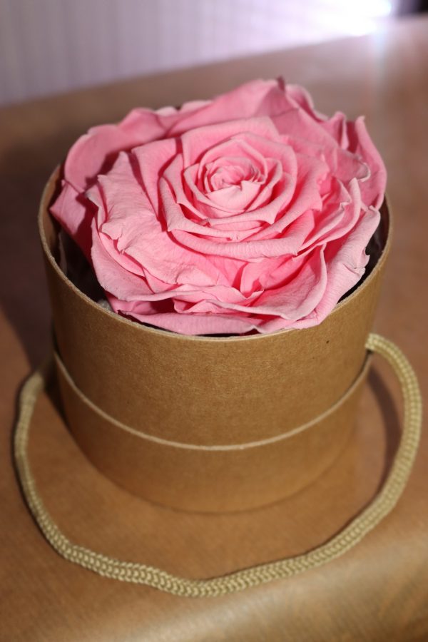 Rose éternelle rose boite à chapeaux mono