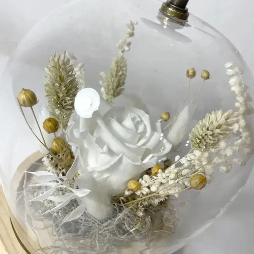 Rose éternelle blanche en Cloche de verre ébène vintage
