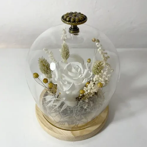 Rose éternelle blanche en Cloche de verre ébène vintage