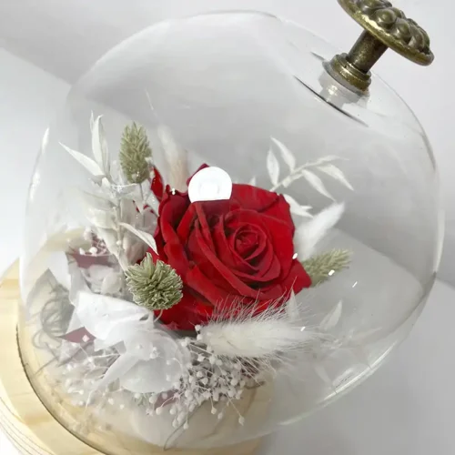 Rose éternelle rouge en Cloche de verre ébène vintage