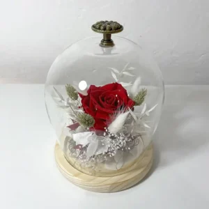 Rose éternelle rouge en Cloche de verre ébène vintage