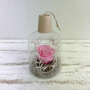 petite suspension terrarium avec une rose éternelle rose