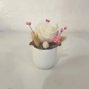 rose éternelle stabilisée blanc en pot avec des fleurs séchées roses