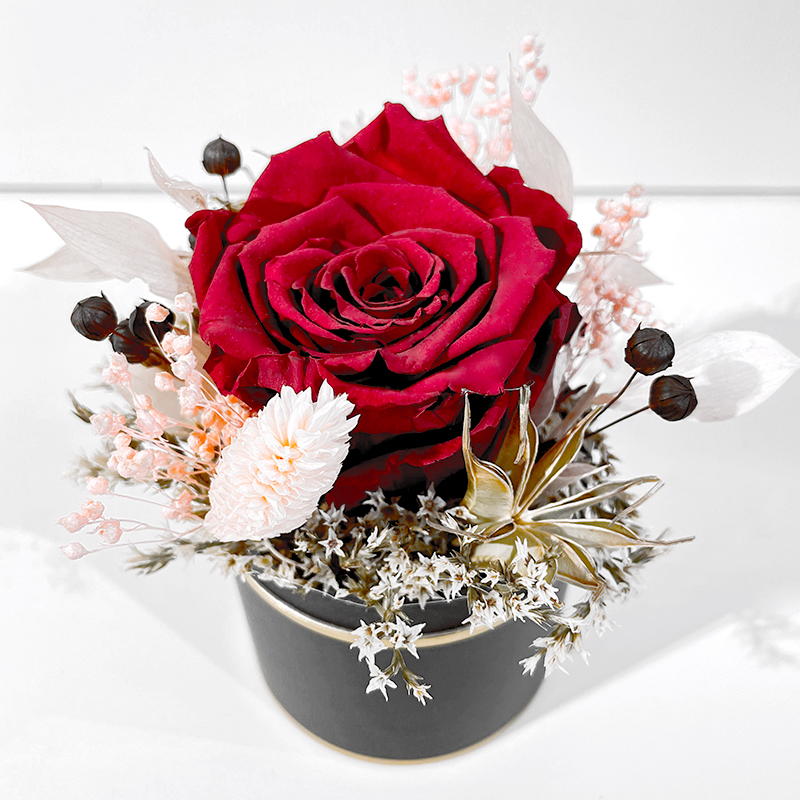 Boîte à chapeau mini & rose éternelle rouge - Roses éternelles