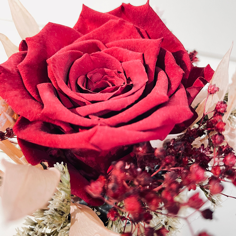 rose éternelle rouge et son décor de fleurs séchées