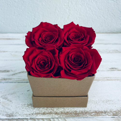 Coffret kraft de 4 roses éternelles rouges