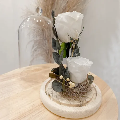 Duo de roses éternelles blanches cloche