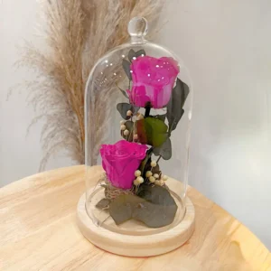 Duo de roses éternelles roses fuchsia cloche
