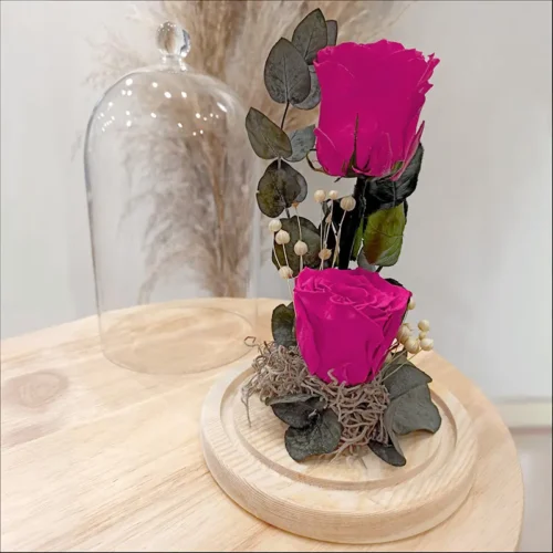 Duo de roses éternelles roses fuchsia cloche