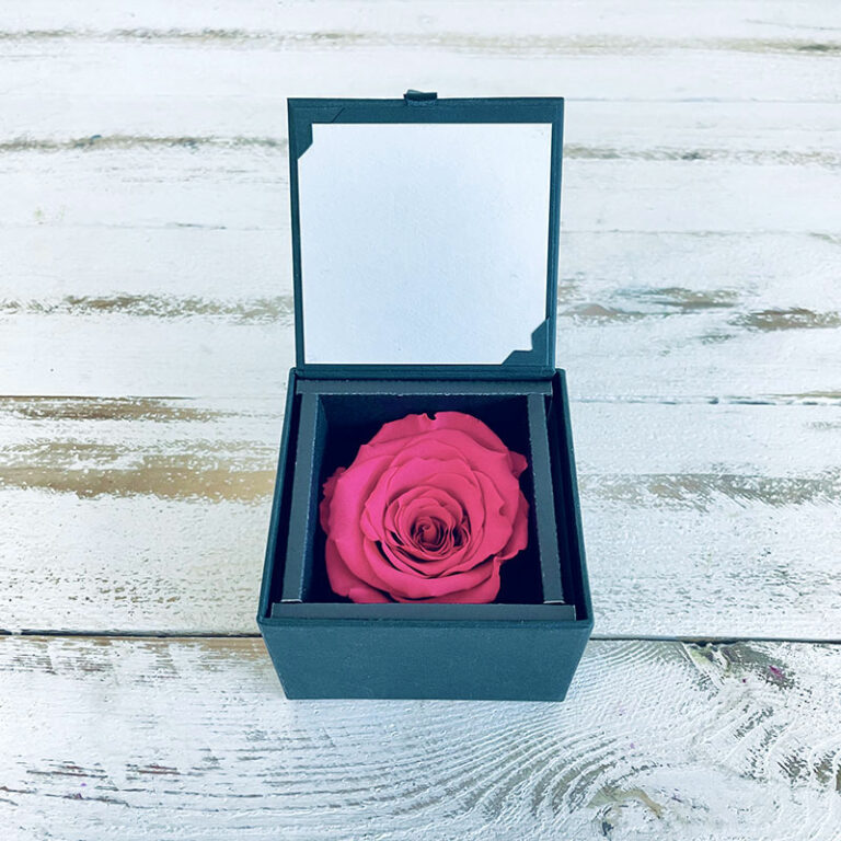 Rose éternelle rose vif coffret magma