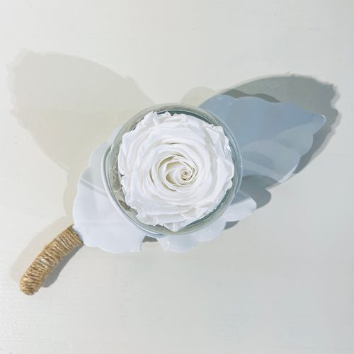 feuille longue rose éternelle blanche globe