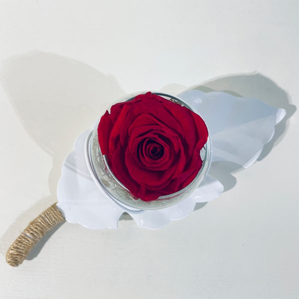 feuille longue rose éternelle rouge