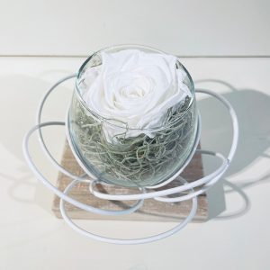 fleur blanche rose éternelle blanche globe
