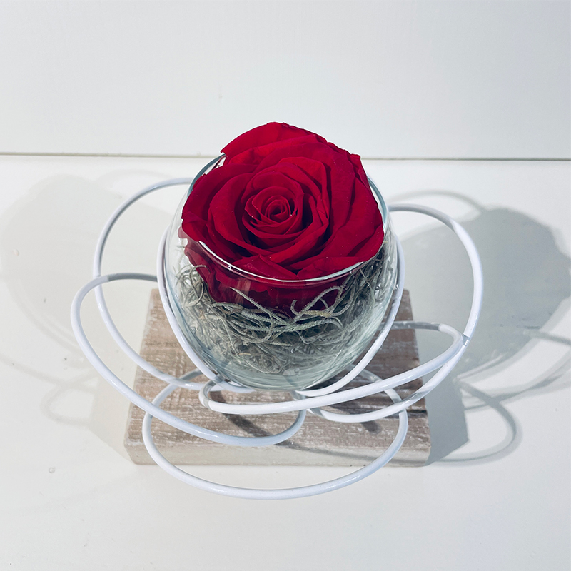 Pétales blancs & Rose éternelle rouge en boule de verre - Roses éternelles