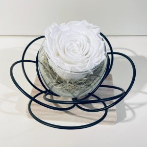 fleur noire rose éternelle blanche