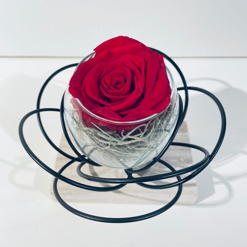fleur noire rose éternelle rouge