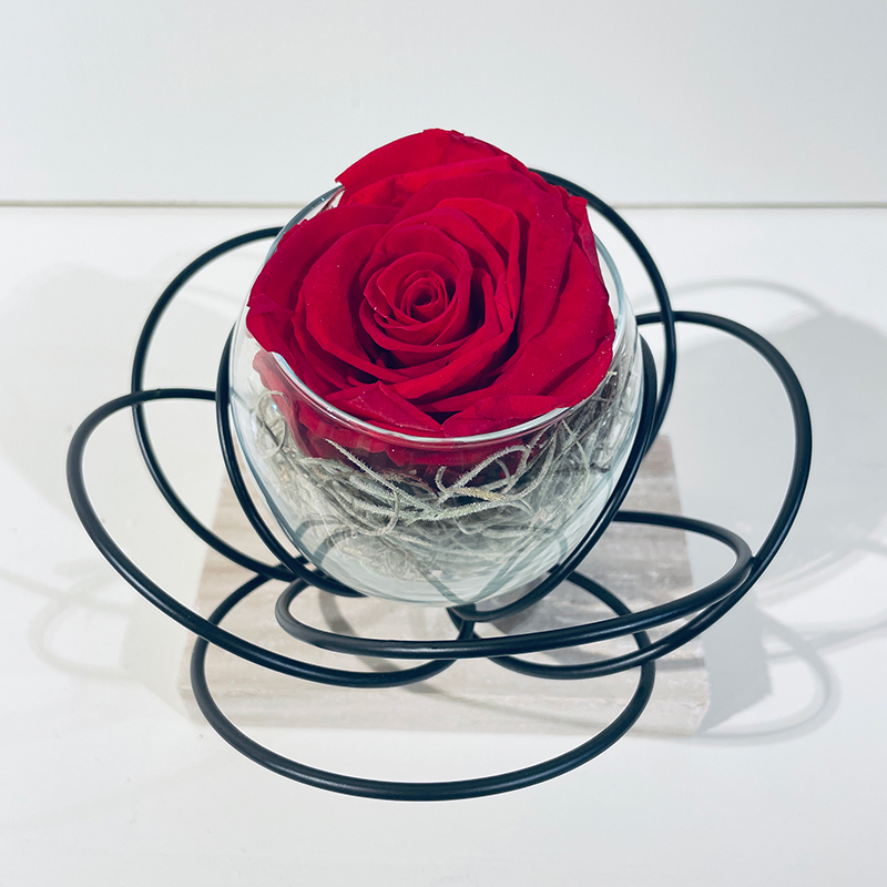 Pétales noirs & Rose éternelle rouge en boule de verre - Roses éternelles