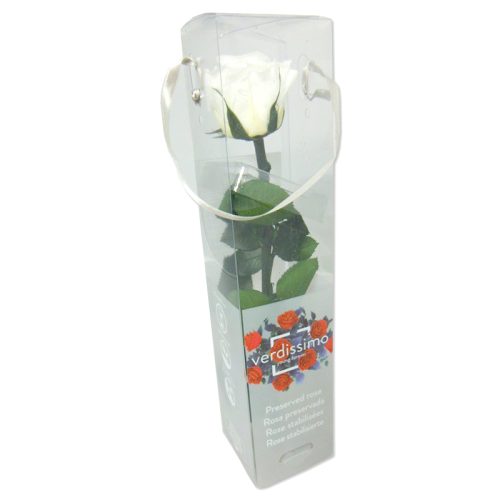 petite rose éternelle blanche