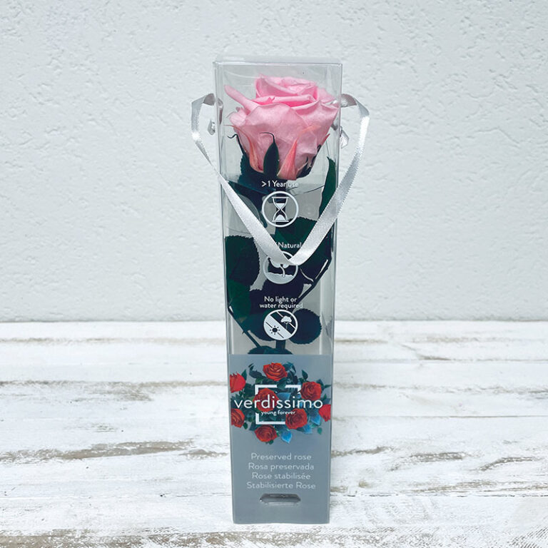 petite tige de rose éternelle en coffret rose pâle