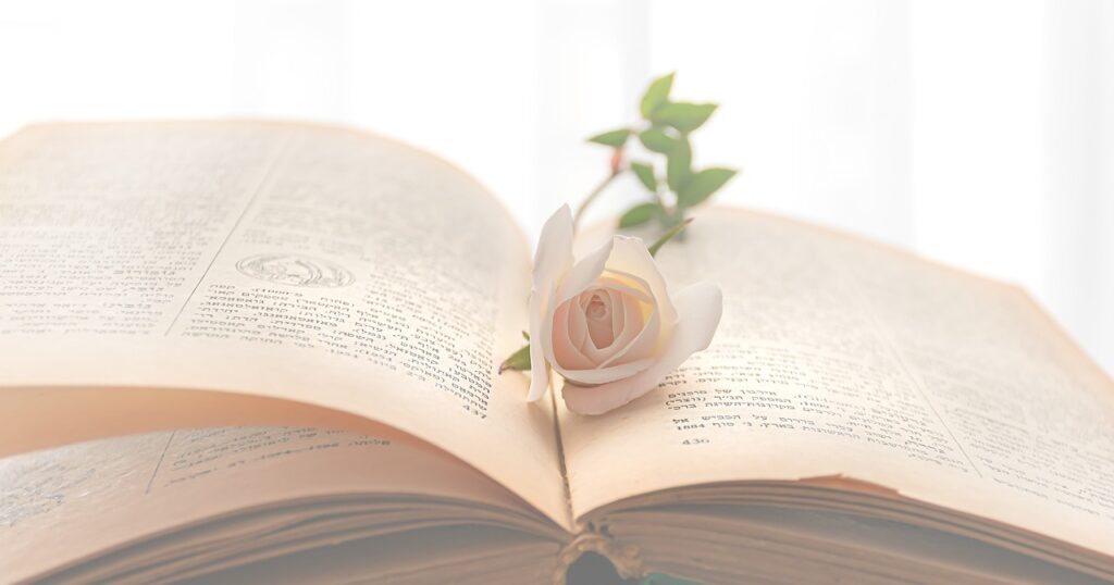 rose séchée dans un livre