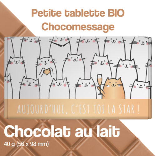 tablette de chocolat au lait chat anniversaire c'est toi la star