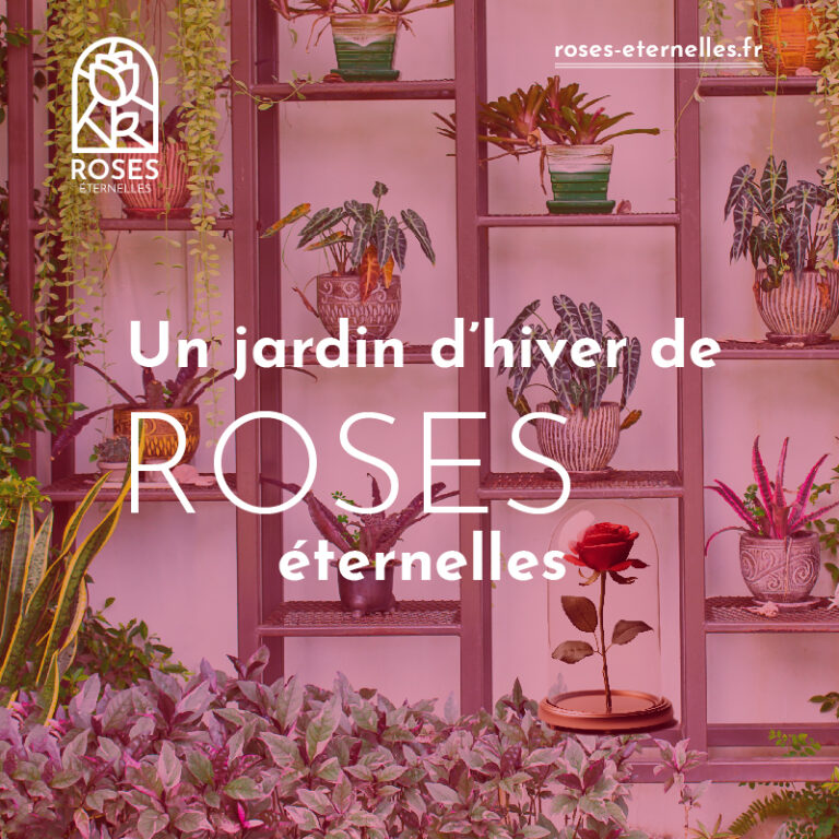 Jardin d'hiver de roses éternelles et de plantes