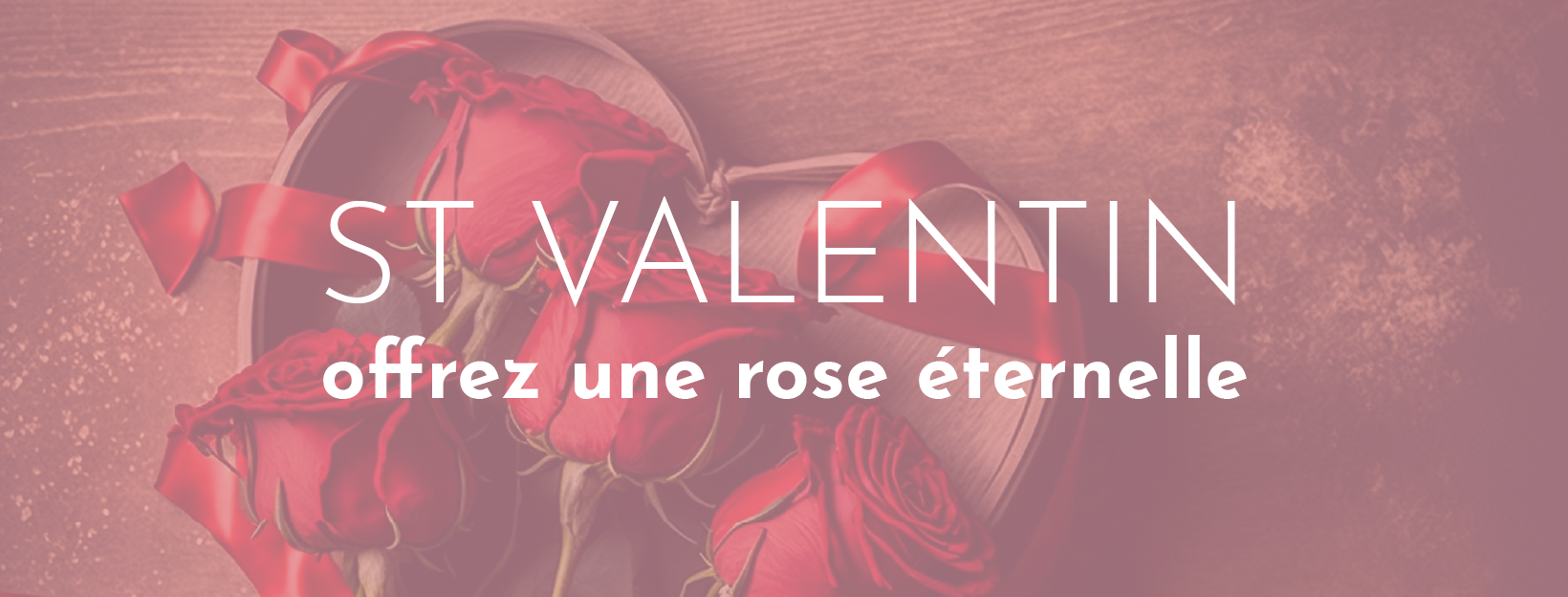 Offrir une rose éternelle pour la Saint Valentin