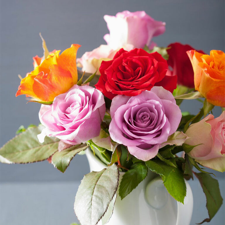 bouquet de roses colorees