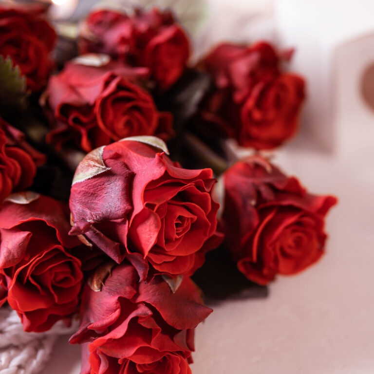 bouquet de boutons de roses rouges