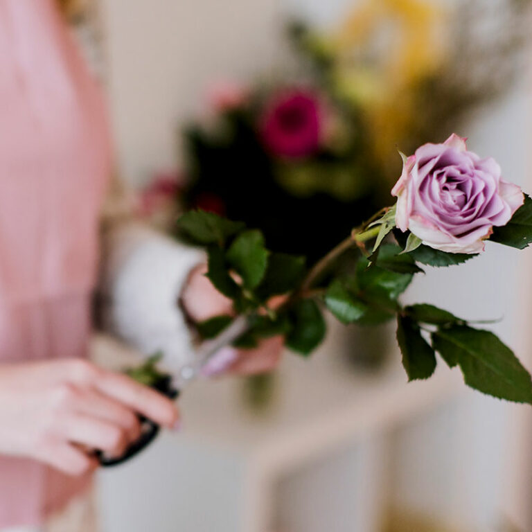 préparer une rose éternelle violette