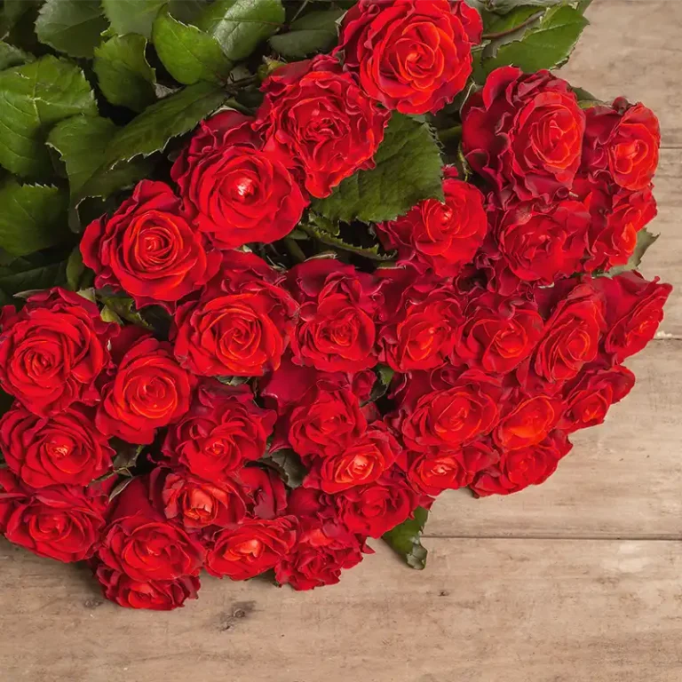 Combien de Roses rouges pour la Saint Valentin