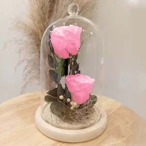 Duo de roses éternelles cloche roses pales